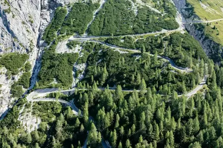 Sloveense tolvignet 2024: Alles wat u moet weten