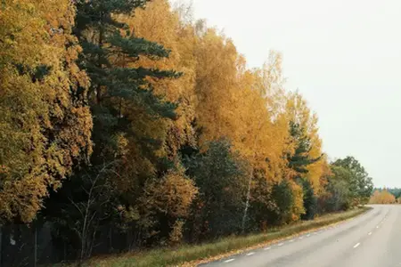 De grote renovatie van de D6 snelweg in de omgeving van Kladno is met vertraging afgerond.